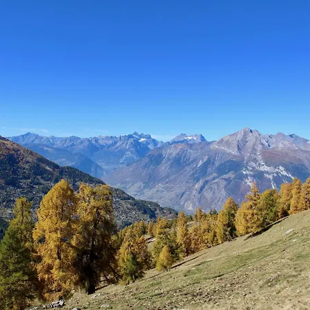 In With Ski-in Ski-out