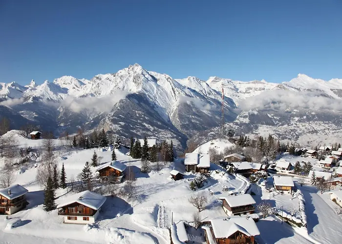 In With Ski-in Ski-out Nendaz